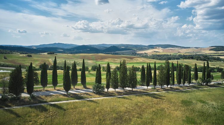 Rosewood Castiglion del Bosco Room