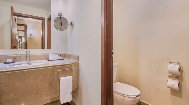 <b>Fiesta Americana Merida Room</b>. Images powered by <a href="https://www.leonardoworldwide.com/" title="Leonardo Worldwide" target="_blank">Leonardo</a>.