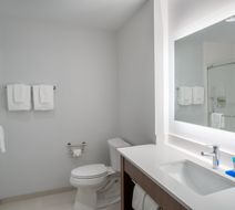 Holiday Inn Express & Suites Dahlonega Room