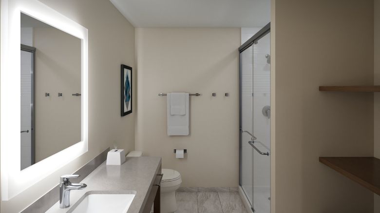 <b>Candlewood Suites DFW Airport North Room</b>. Images powered by <a href="https://www.leonardoworldwide.com/" title="Leonardo Worldwide" target="_blank">Leonardo</a>.