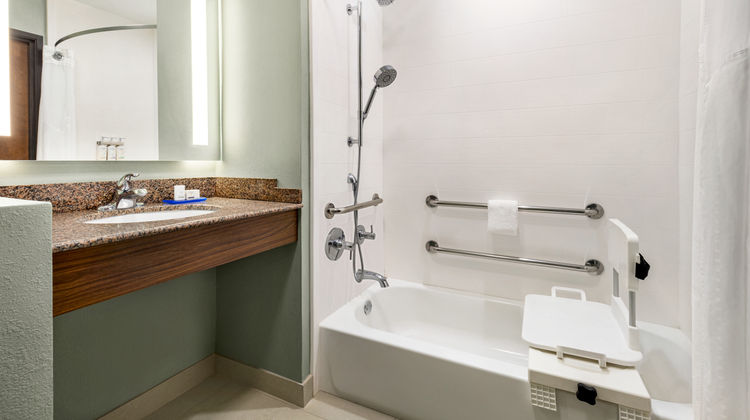 Holiday Inn Express Hotel & Suites Room