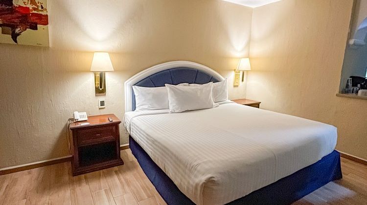 Guanajuato Gran Plaza Hotel Room