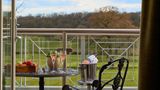 Rockliffe Hall Room