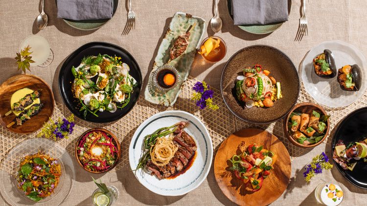 Kimpton Alton Hotel Restaurant