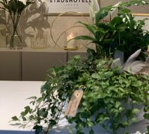 Ludvika Stadshotell Lobby
