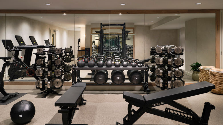 <b>1 Hotel San Francisco Recreation</b>. Images powered by <a href="https://www.leonardoworldwide.com/" title="Leonardo Worldwide" target="_blank">Leonardo</a>.