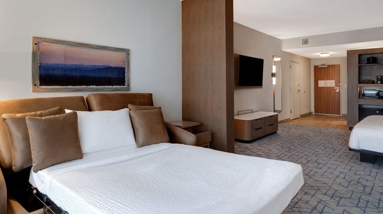 Fairfield Inn & Suites Downtown Suite