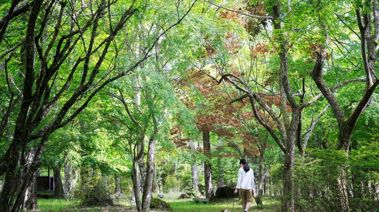 <b>Fuji Marriott Hotel Lake Yamanaka Other</b>. Images powered by <a href="https://www.leonardoworldwide.com/" title="Leonardo Worldwide" target="_blank">Leonardo</a>.