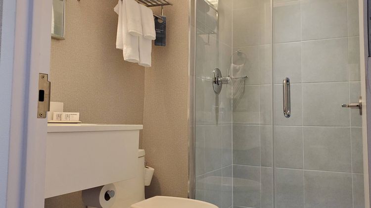 Fairfield Inn & Suites New York Brooklyn Room