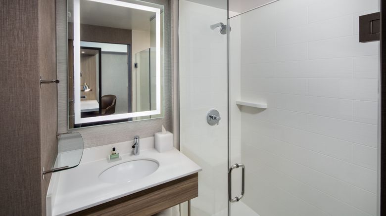 <b>SpringHill Suites JFK Airport/Jamaica Room</b>. Images powered by <a href="https://www.leonardoworldwide.com/" title="Leonardo Worldwide" target="_blank">Leonardo</a>.