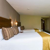 Hotel Real de Minas