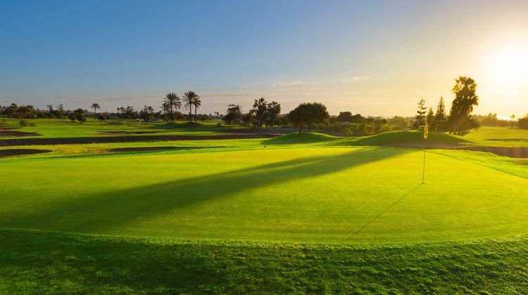 Sheraton Fuerteventura Beach, Golf & Spa Golf