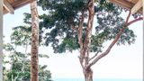 <b>Tabula Rasa Resort & Spa Suite</b>. Images powered by <a href="https://www.leonardoworldwide.com/" title="Leonardo Worldwide" target="_blank">Leonardo</a>.