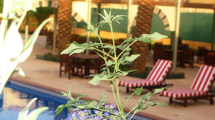 Holiday Inn Riyadh-Izdihar Airport Rd Pool