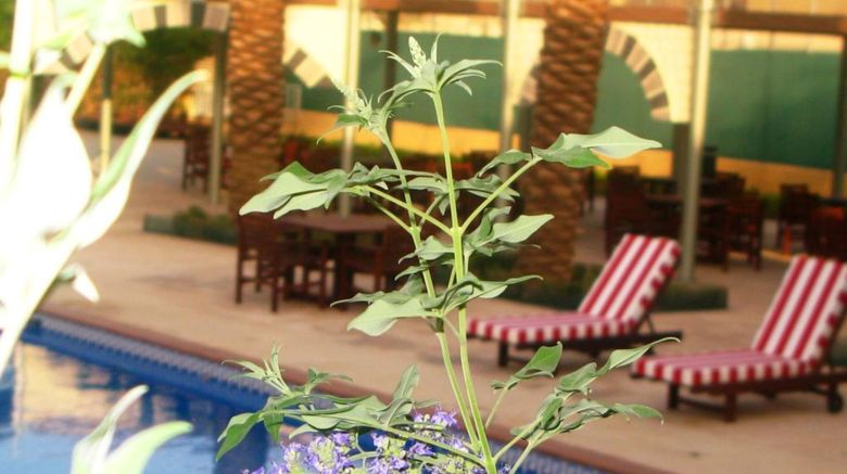 <b>Holiday Inn Riyadh-Izdihar Airport Rd Pool</b>. Images powered by <a href="https://www.leonardoworldwide.com/" title="Leonardo Worldwide" target="_blank">Leonardo</a>.