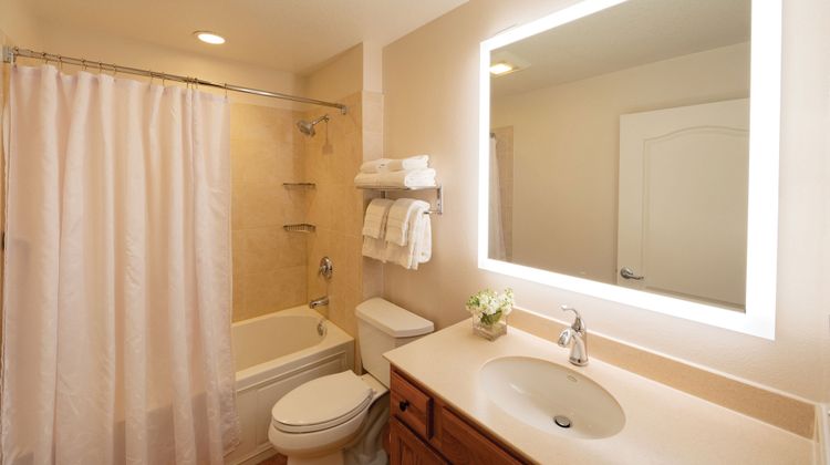 Sheraton Vistana Villages Resort Villas Room