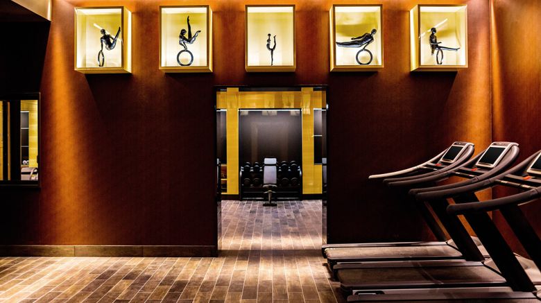 <b>Prince de Galles, Luxury Collection Recreation</b>. Images powered by <a href=https://www.travelagewest.com/Hotels/Paris/