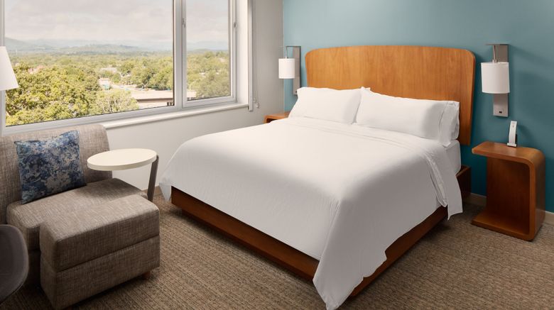 <b>Element Asheville Downtown Room</b>. Images powered by <a href="https://www.leonardoworldwide.com/" title="Leonardo Worldwide" target="_blank">Leonardo</a>.