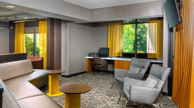 <b>SpringHill Suites by Marriott Asheville Other</b>. Images powered by <a href="https://www.leonardoworldwide.com/" title="Leonardo Worldwide" target="_blank">Leonardo</a>.