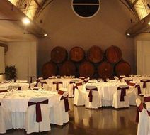 Sercotel Air Penedes Meeting