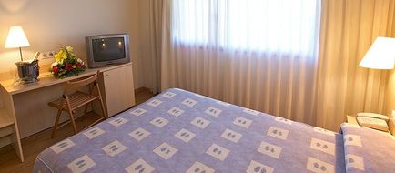 Basic Hotel Room