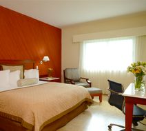 Wyndham Garden Colima Room
