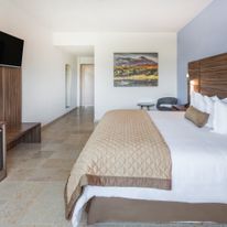 Wyndham Garden Colima