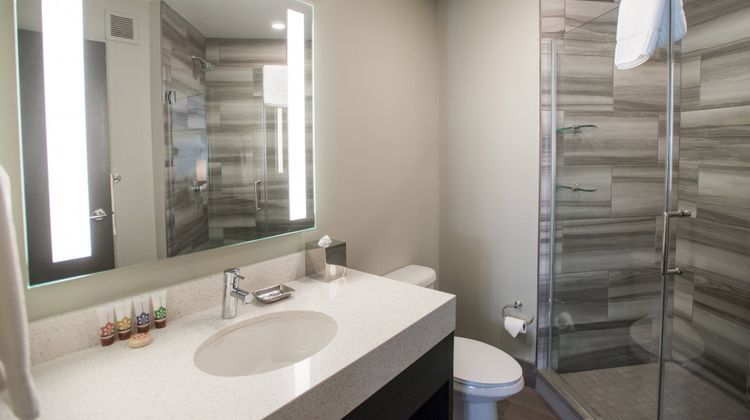 Magnolia Denver, Tribute Portfolio Hotel Room