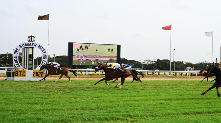 Holiday Inn Bengaluru Racecourse Other