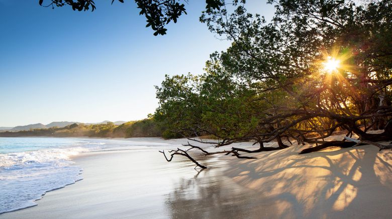 <b>W Costa Rica - Reserva Conchal Beach</b>. Images powered by <a href="https://www.leonardoworldwide.com/" title="Leonardo Worldwide" target="_blank">Leonardo</a>.