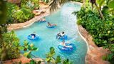 The Coral at Atlantis Other