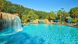 Walt Disney World Dolphin Recreation