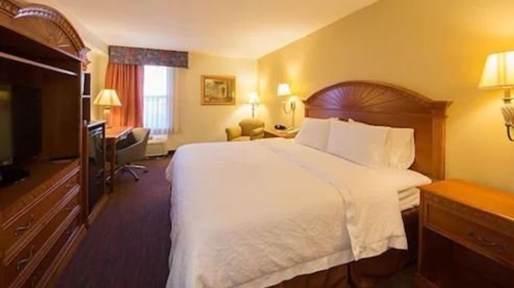 Orlando Palms Hotel Room