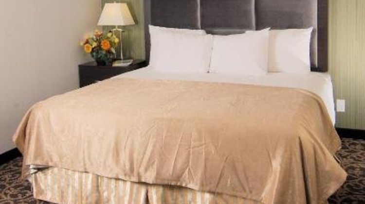 Paradise Inn & Suites Redwater Room