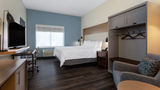 Holiday Inn Tampa North Room