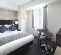 Art Hotel Nippori Lungwood Room