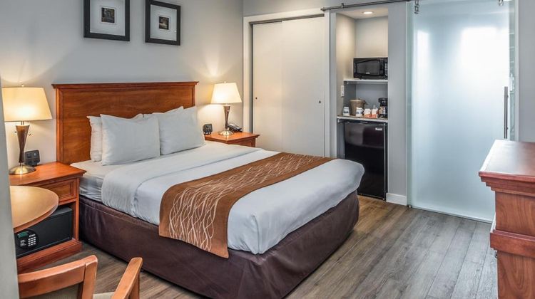 The Inn at 1252 Monterey Room