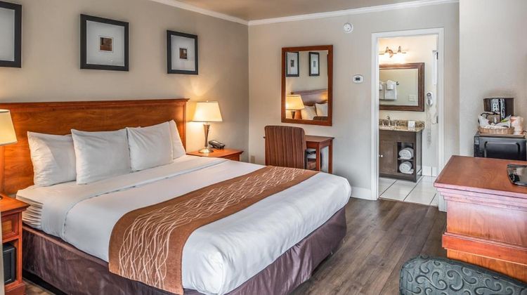 The Inn at 1252 Monterey Room