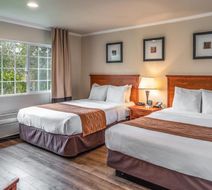 The Inn at 1252 Monterey Room