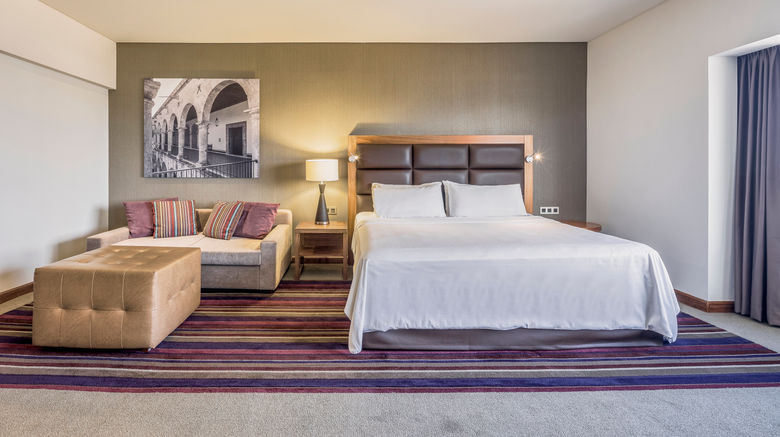 <b>Fiesta Americana Guadalajara Suite</b>. Images powered by <a href="https://www.leonardoworldwide.com/" title="Leonardo Worldwide" target="_blank">Leonardo</a>.