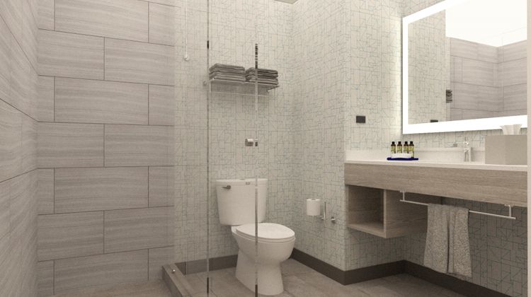 Holiday Inn Express Vallarta Poniente Room