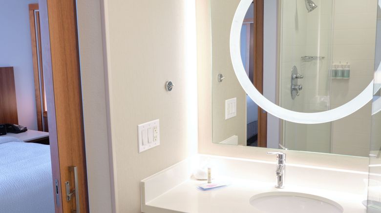 <b>SpringHill Stes Dallas Richardson/Plano Room</b>. Images powered by <a href="https://www.leonardoworldwide.com/" title="Leonardo Worldwide" target="_blank">Leonardo</a>.