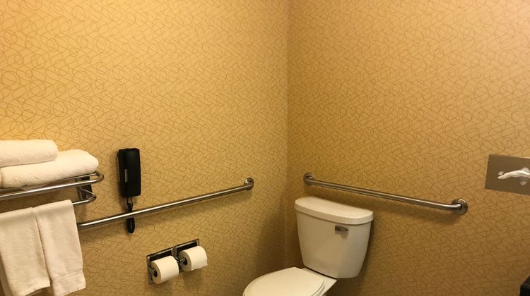 Holiday Inn Express Dimondale Room