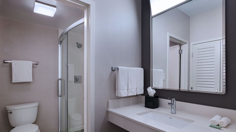 <b>Courtyard Dallas Richardson Room</b>. Images powered by <a href="https://www.leonardoworldwide.com/" title="Leonardo Worldwide" target="_blank">Leonardo</a>.