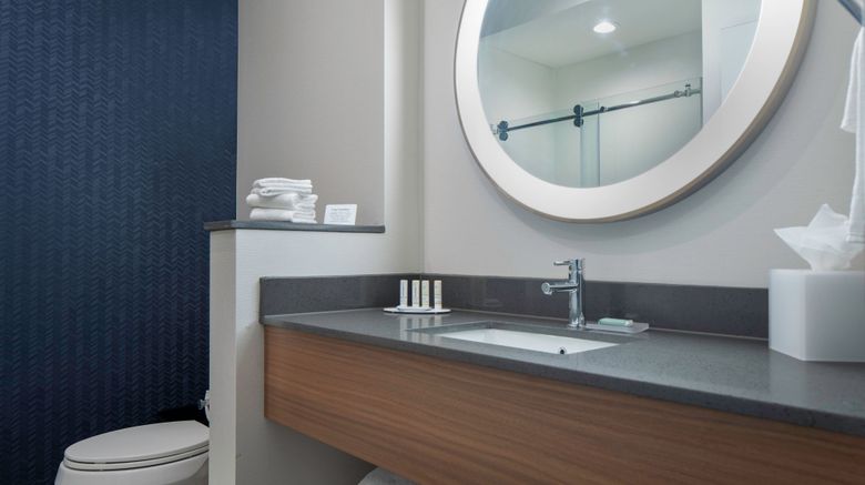 <b>Fairfield Inn & Suites Dallas McKinney Room</b>. Images powered by <a href="https://www.leonardoworldwide.com/" title="Leonardo Worldwide" target="_blank">Leonardo</a>.