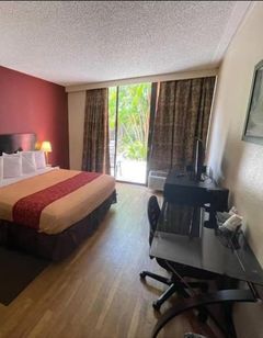 Tropical Palms Hotel