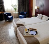 Hotel Jardines de Amaltea Room