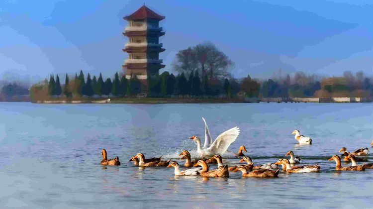 Holiday Inn Fuyang Other