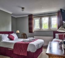 The Vines Room