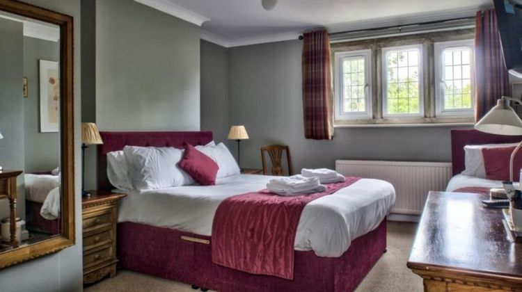 The Vines Room